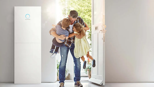 Batteria accumulo Sonnen hybrid 9.53/10 con Inverter integrato per fotovoltaico